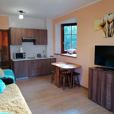 Sun & Snow, Willa Hania Apartamento